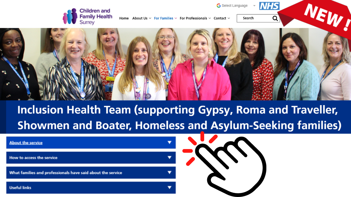 New Inclusion Health webpage